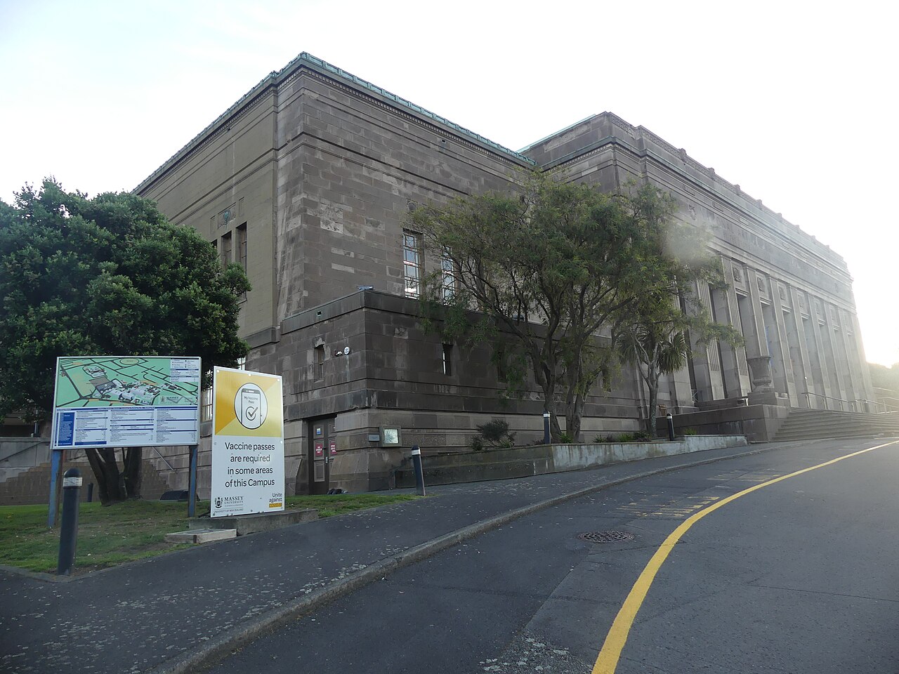 梅西大学