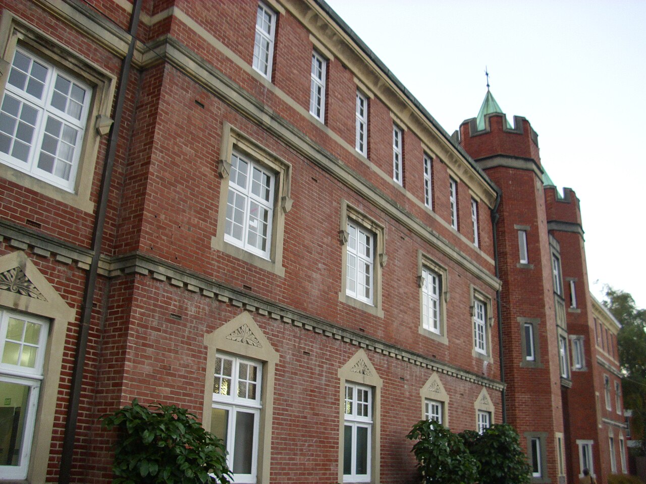 奥塔哥大学