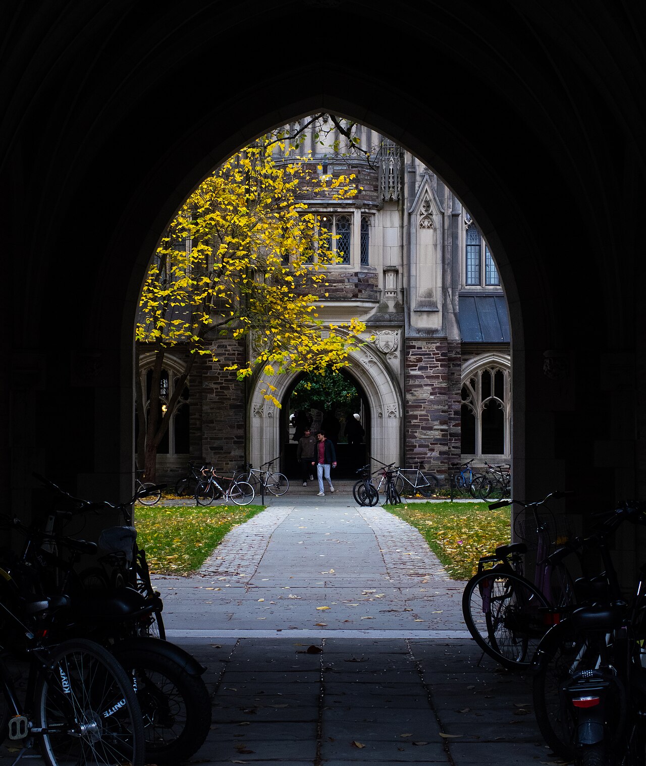 普林斯顿大学