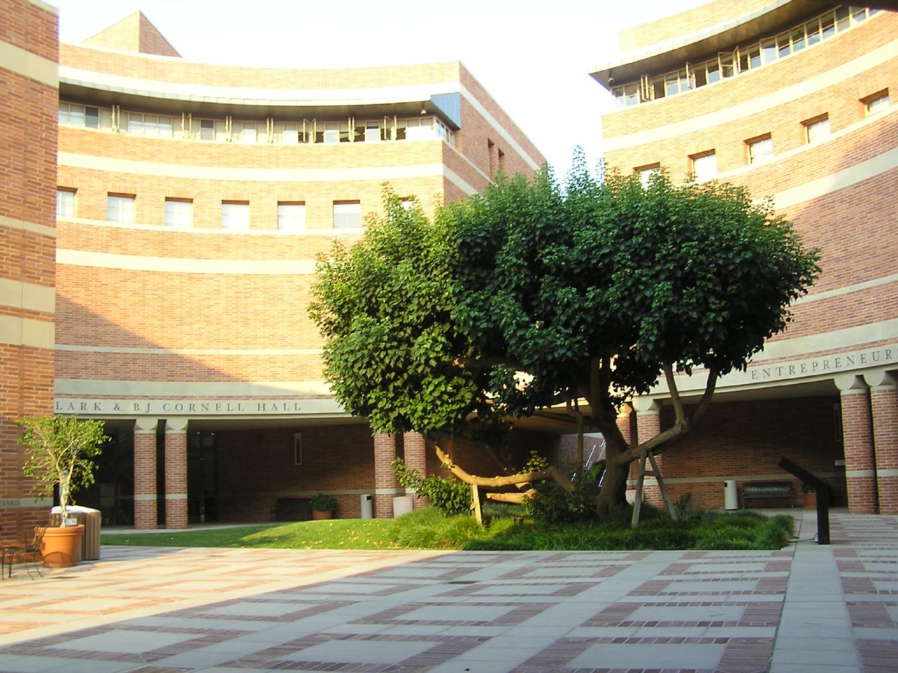 加州大学洛杉矶分校