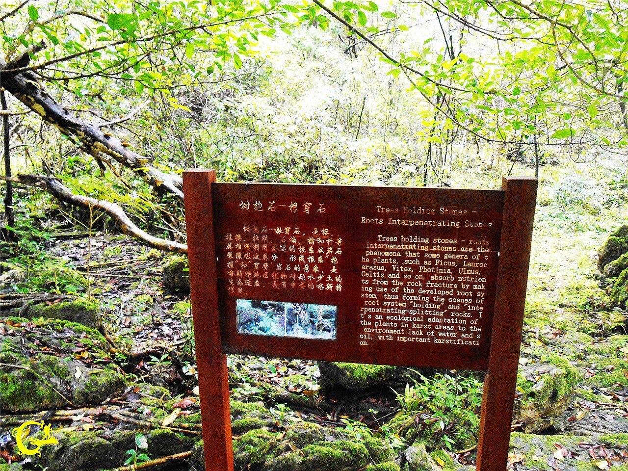河池
