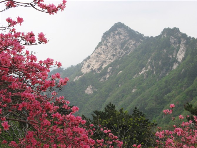 麻城