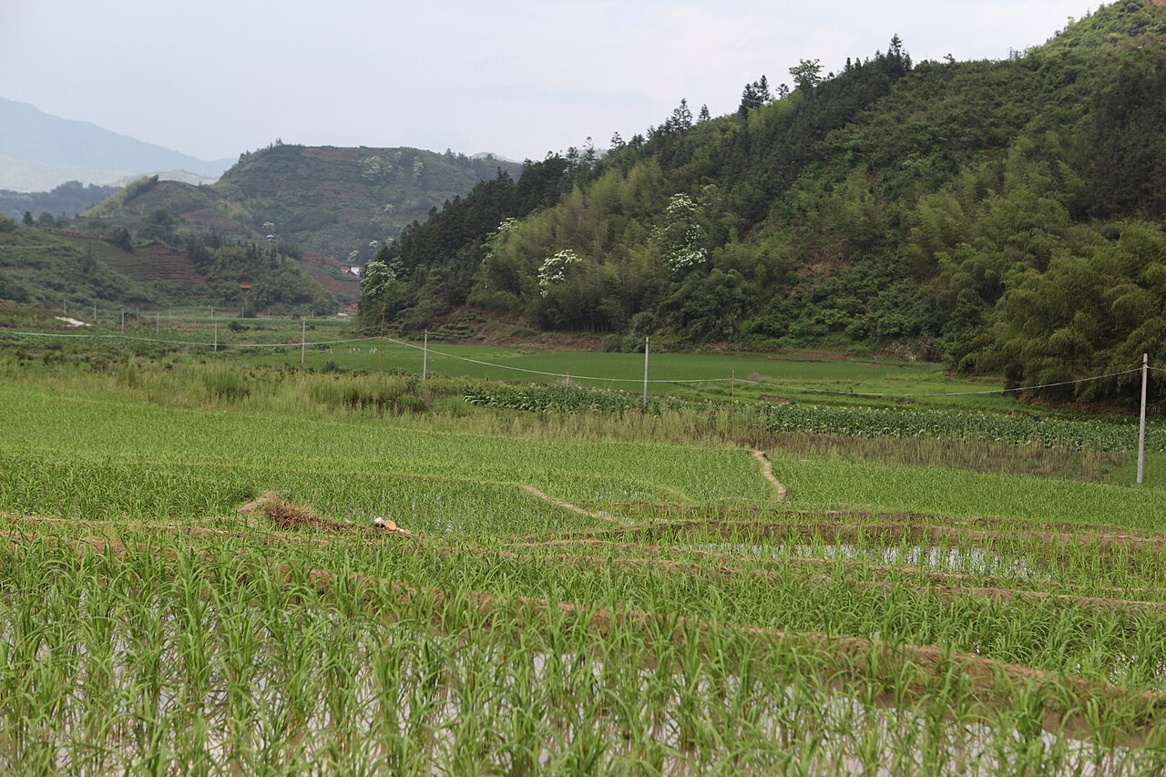 Zhangping