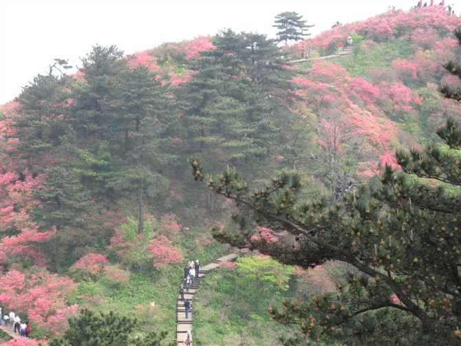 麻城