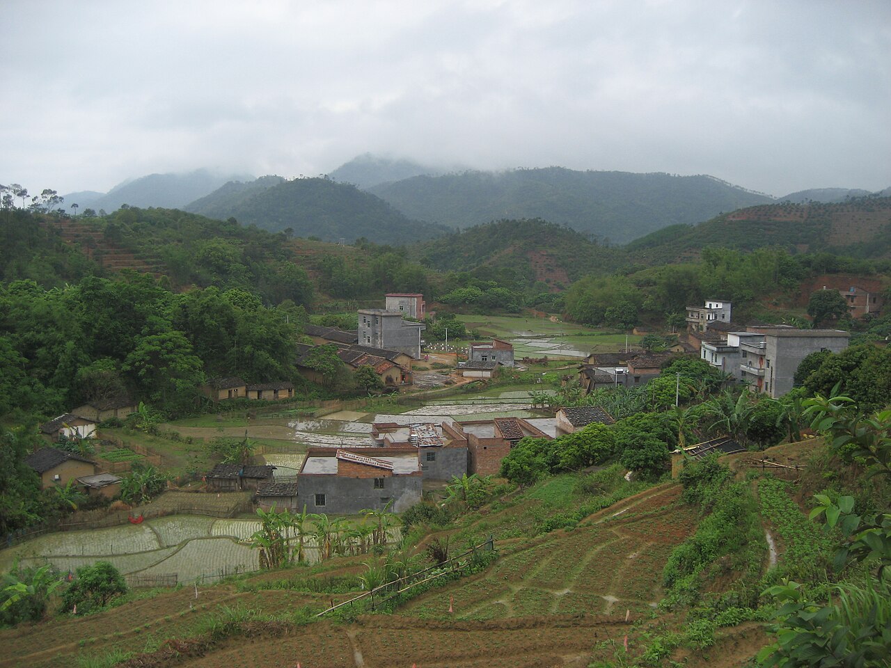 高州