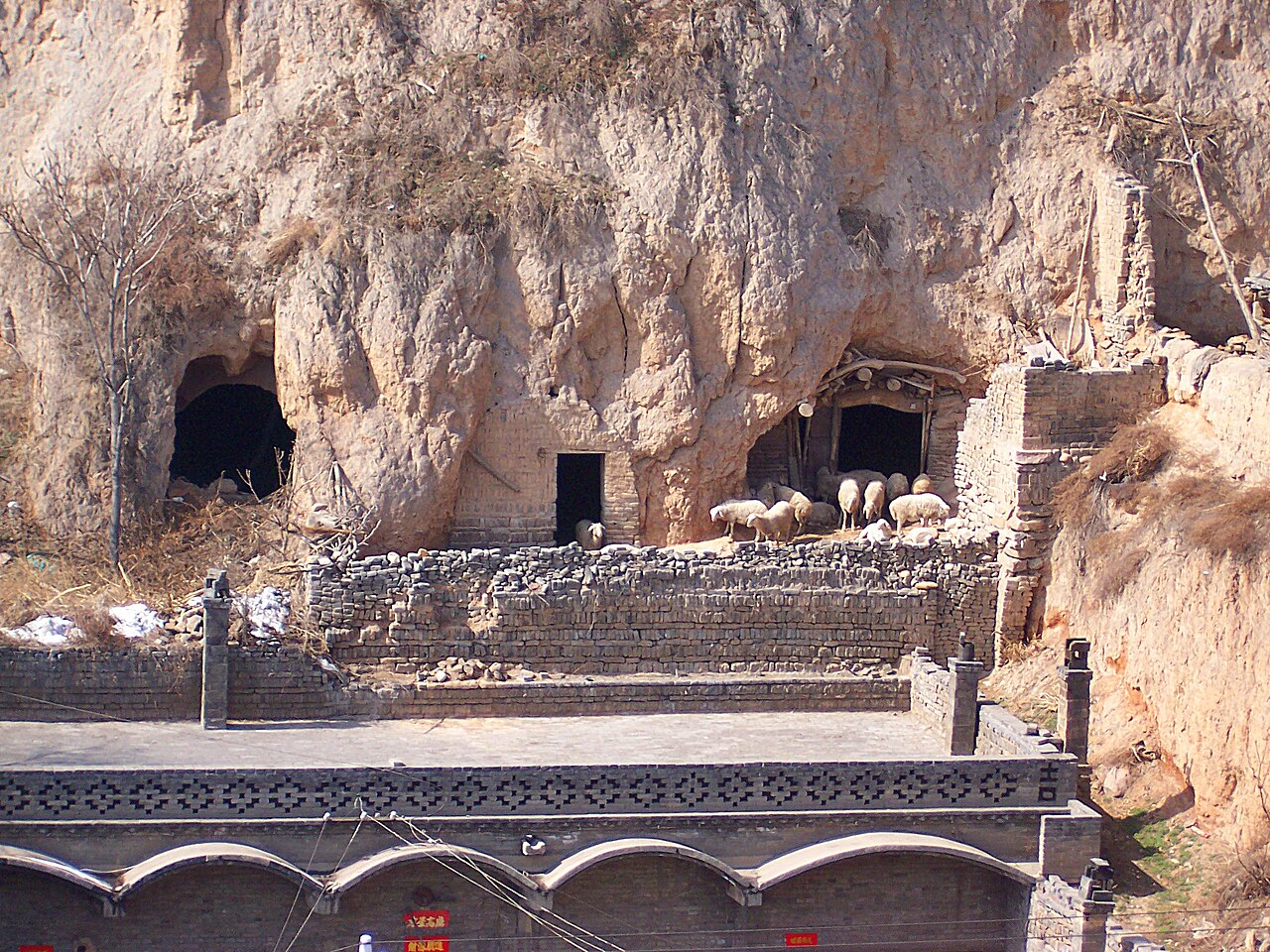 Qingyang