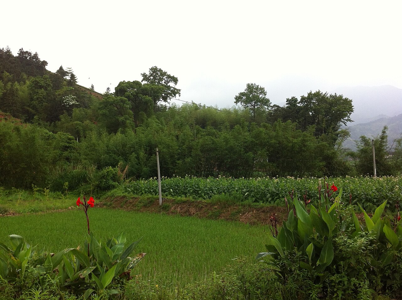 Zhangping