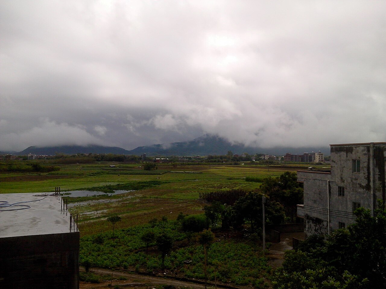 Yangchun