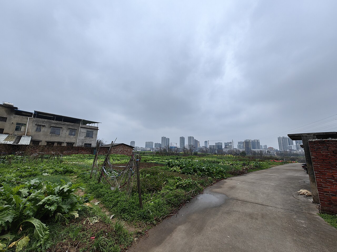 Leiyang