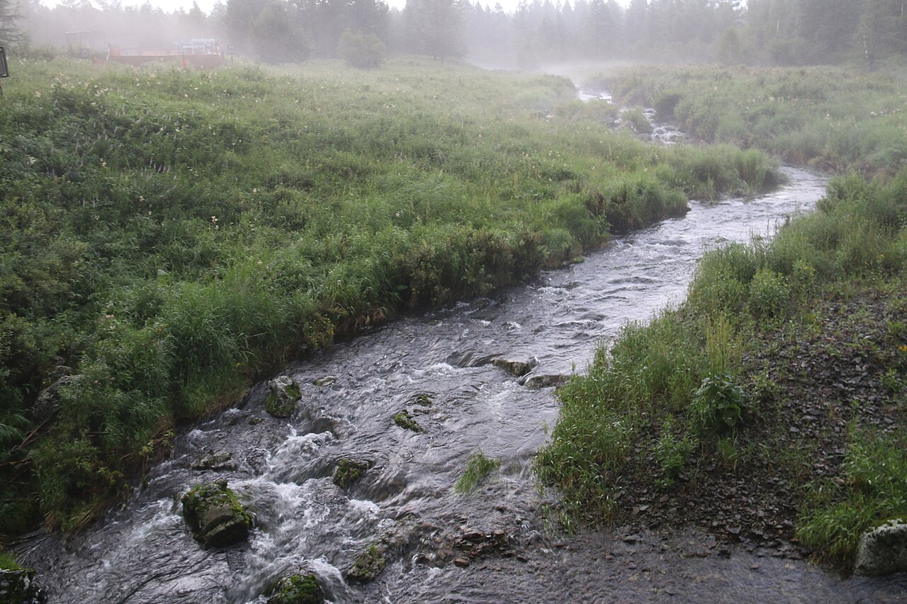 أرشان