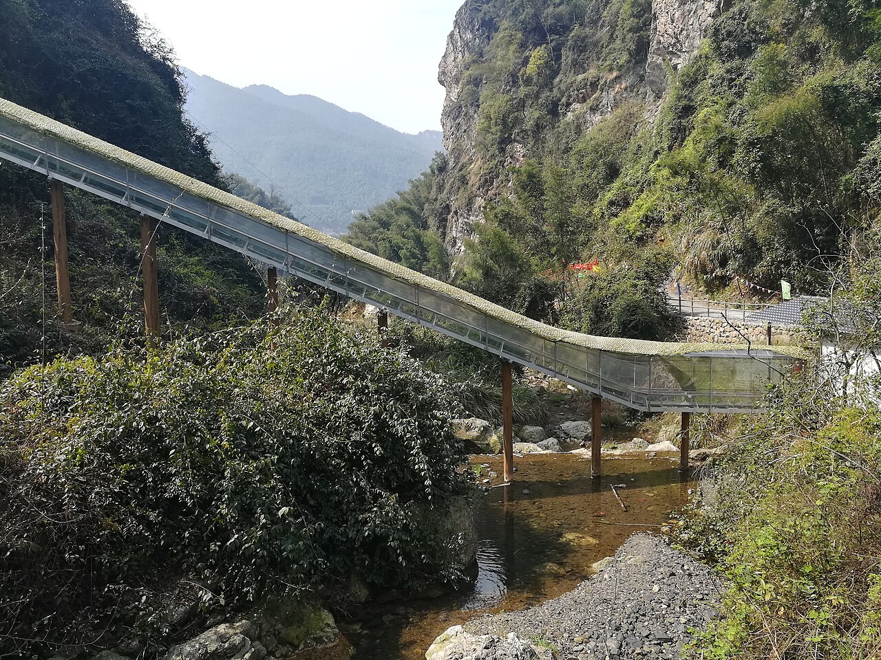 ليانيوان