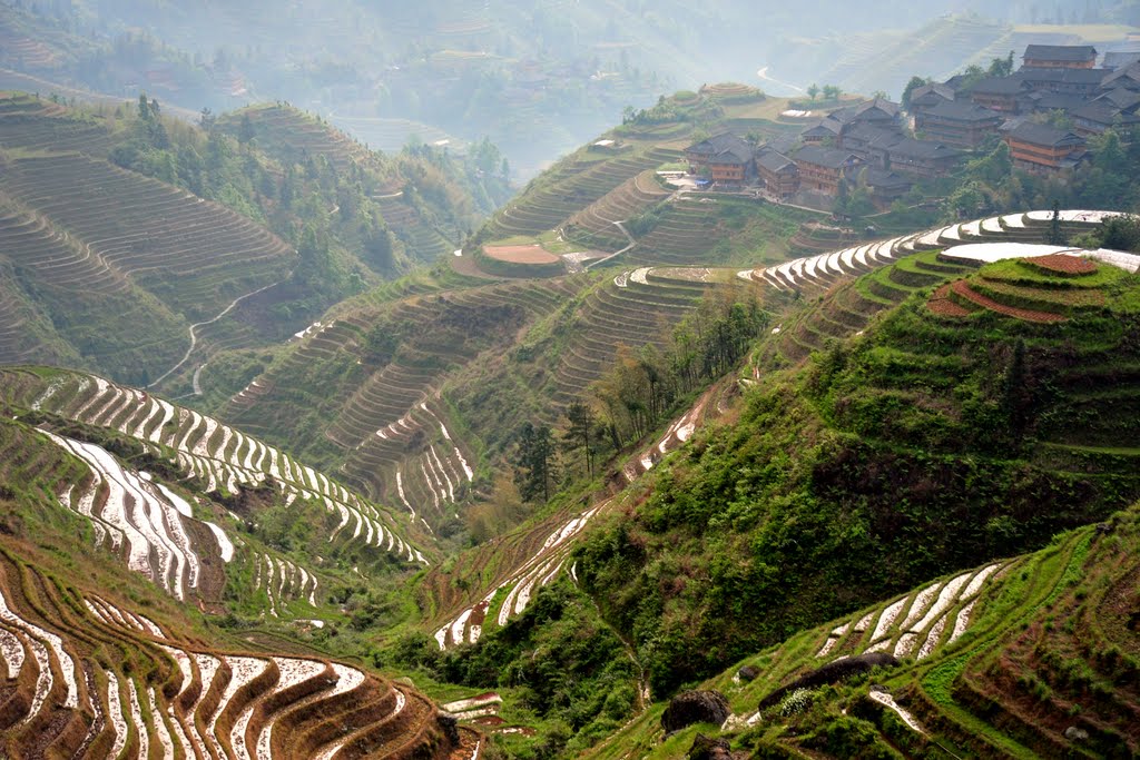 Longsheng