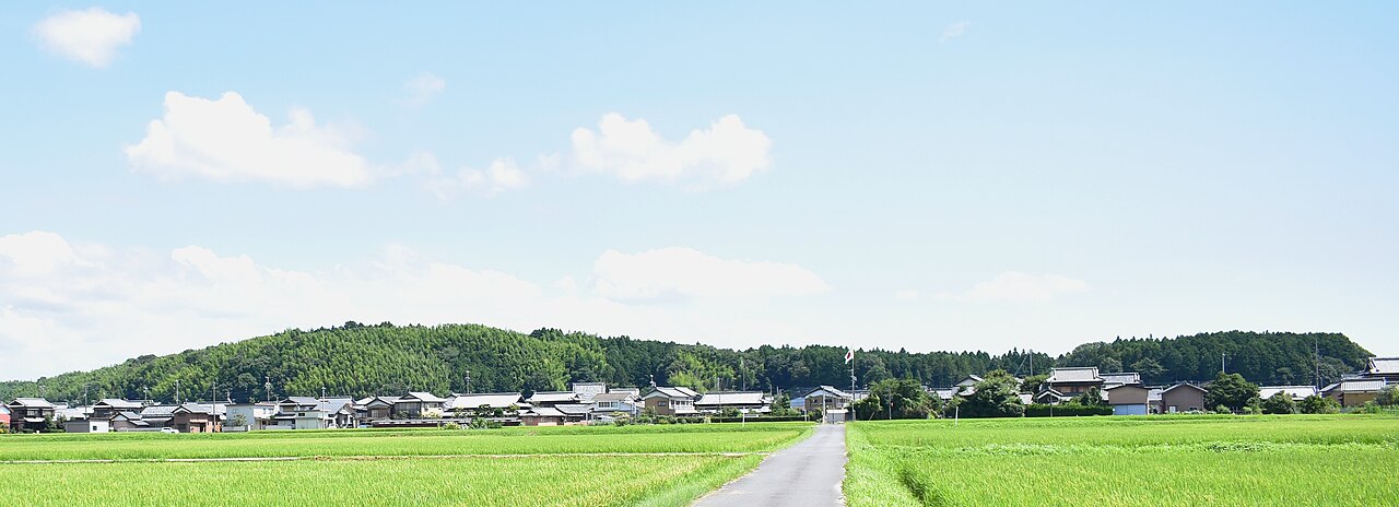 津市