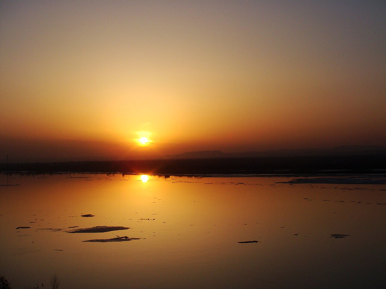 ووهاي