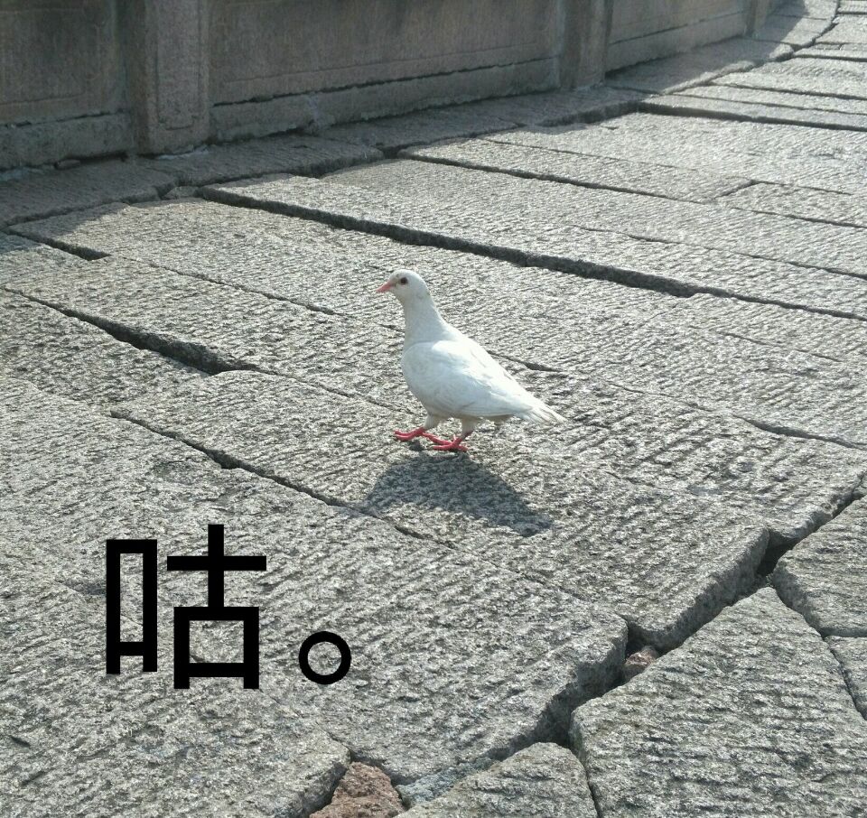جيوهواشان