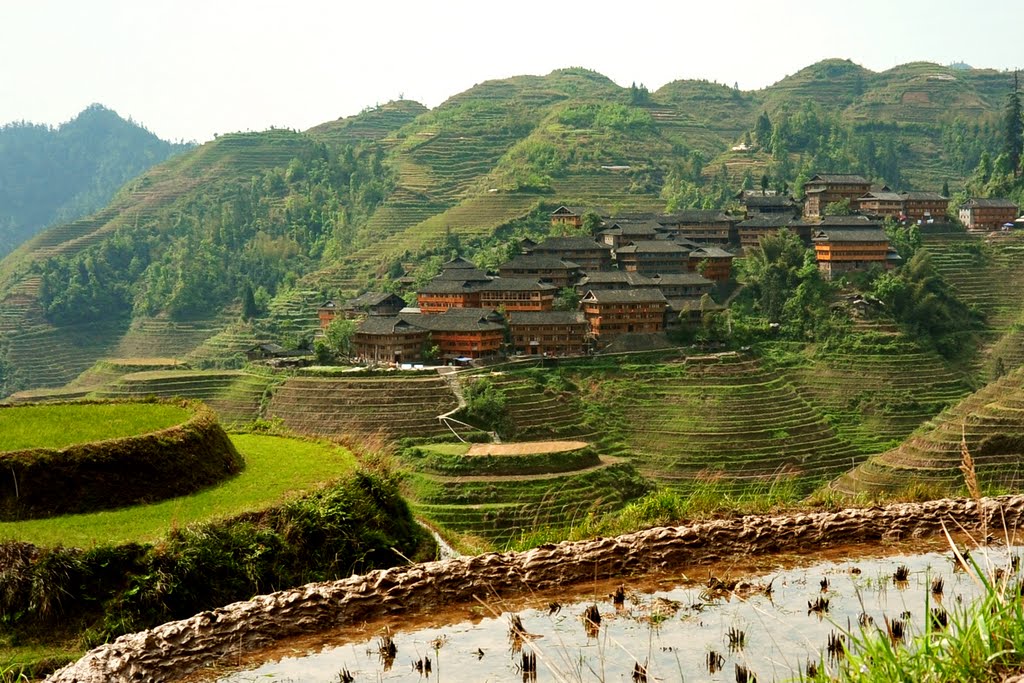 Longsheng