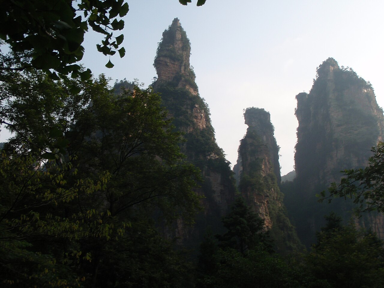 وولينغيوان