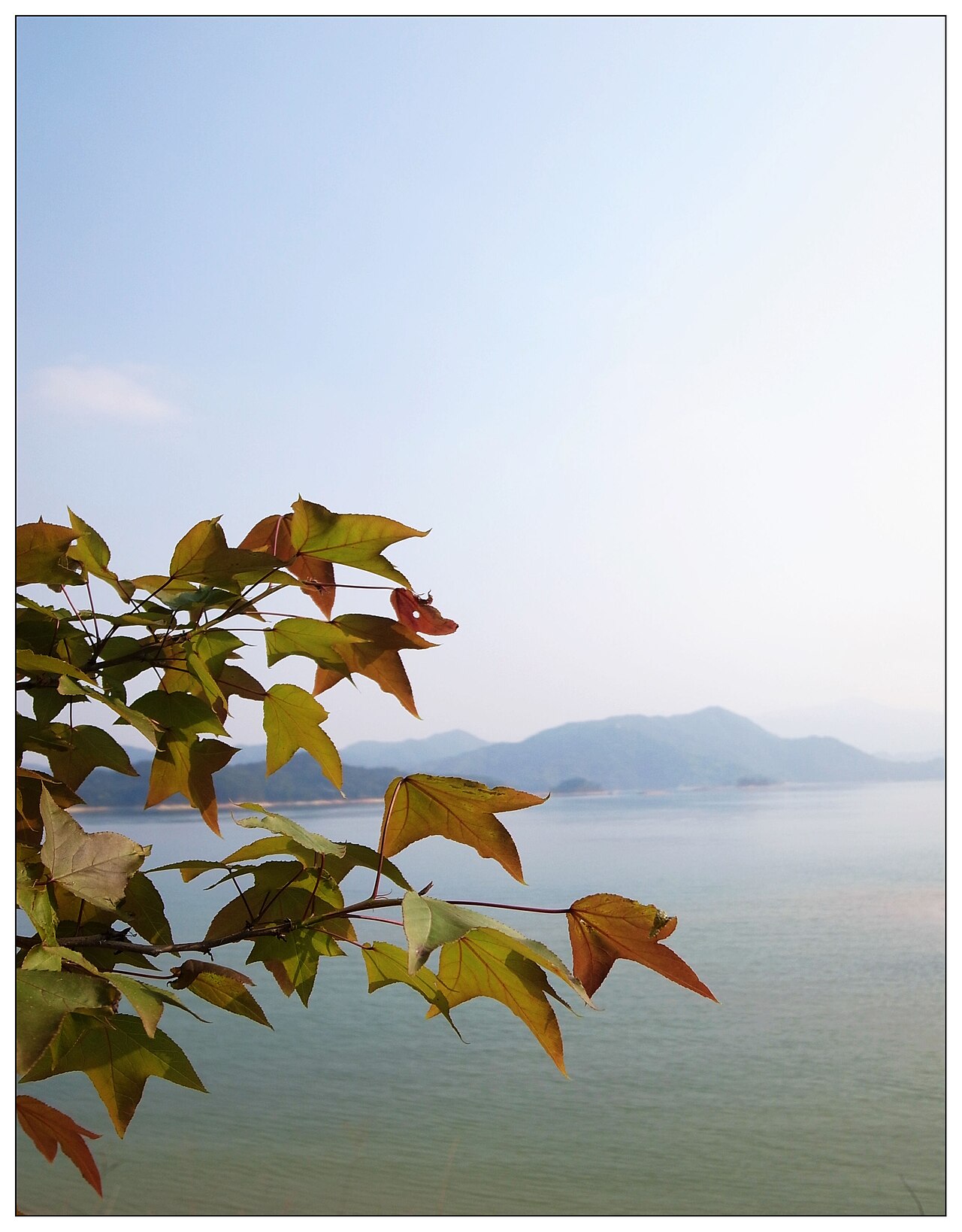 河源
