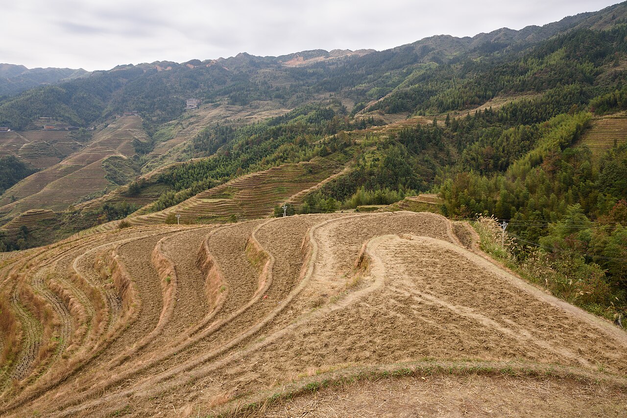Longsheng