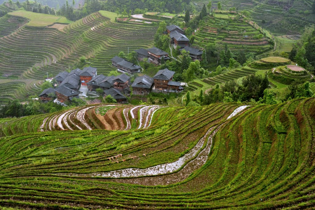 Longsheng