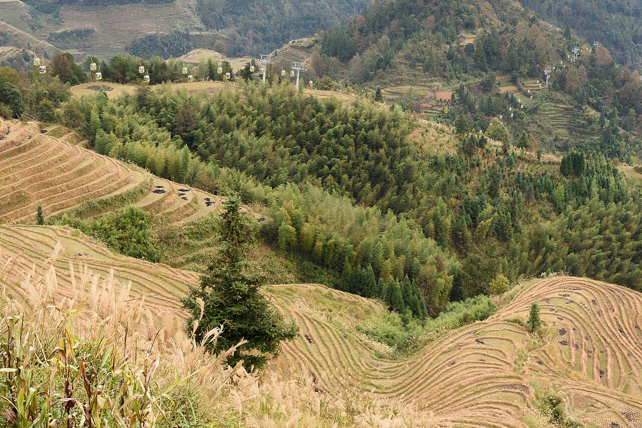 Longsheng