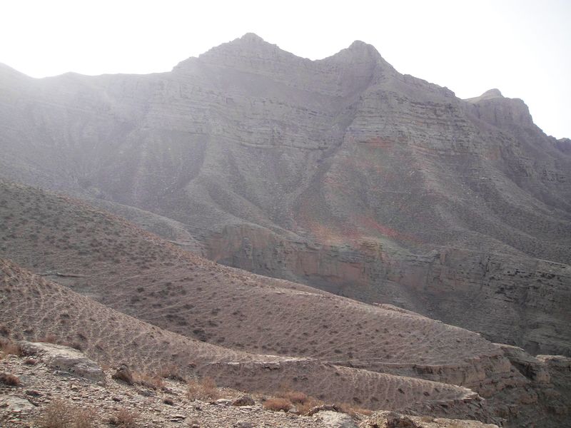 ووهاي