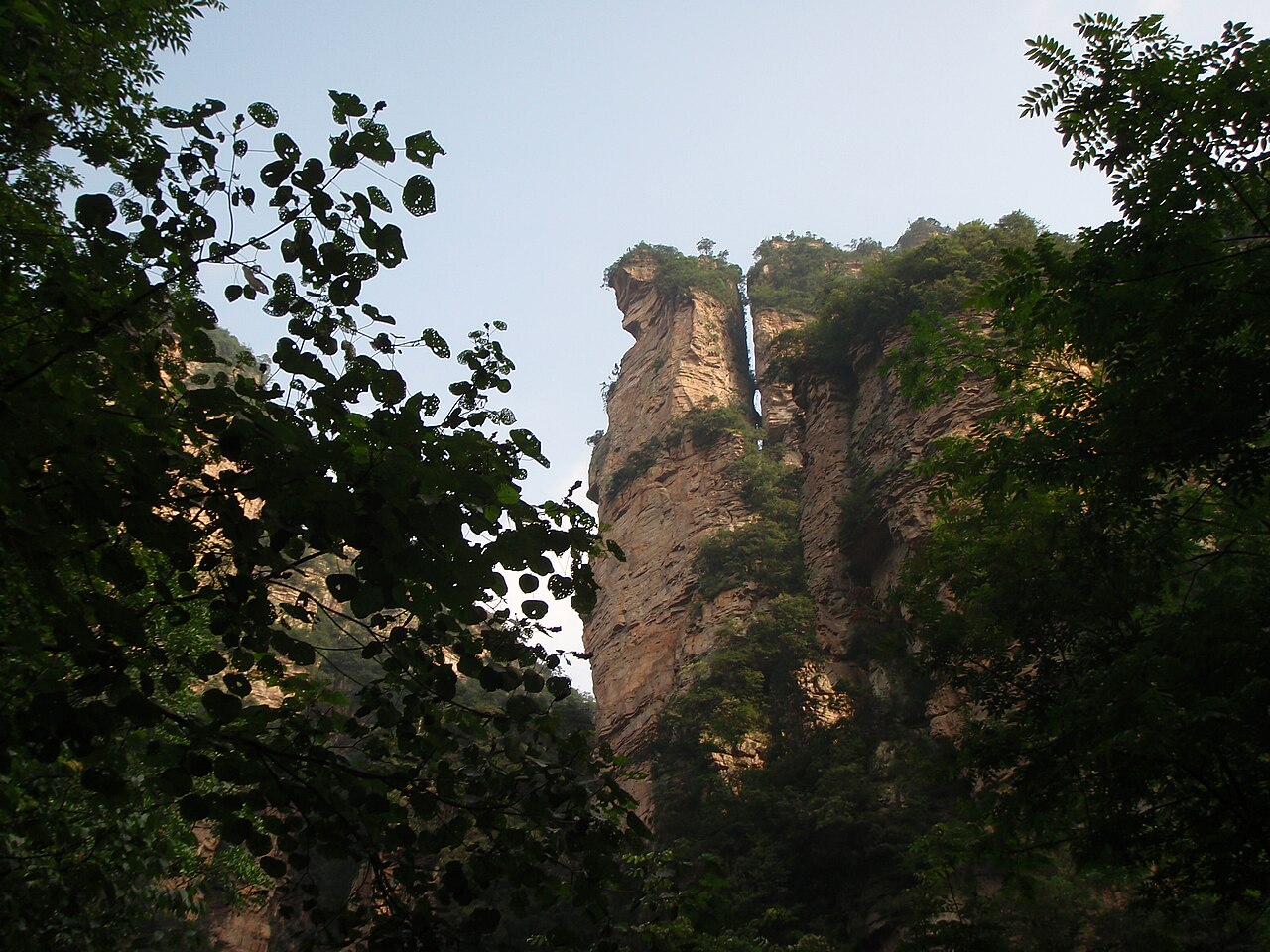 وولينغيوان