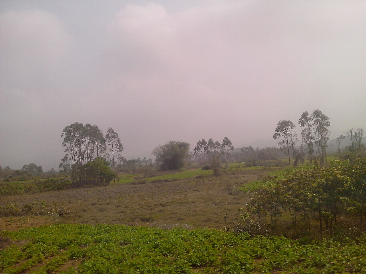 Yangchun