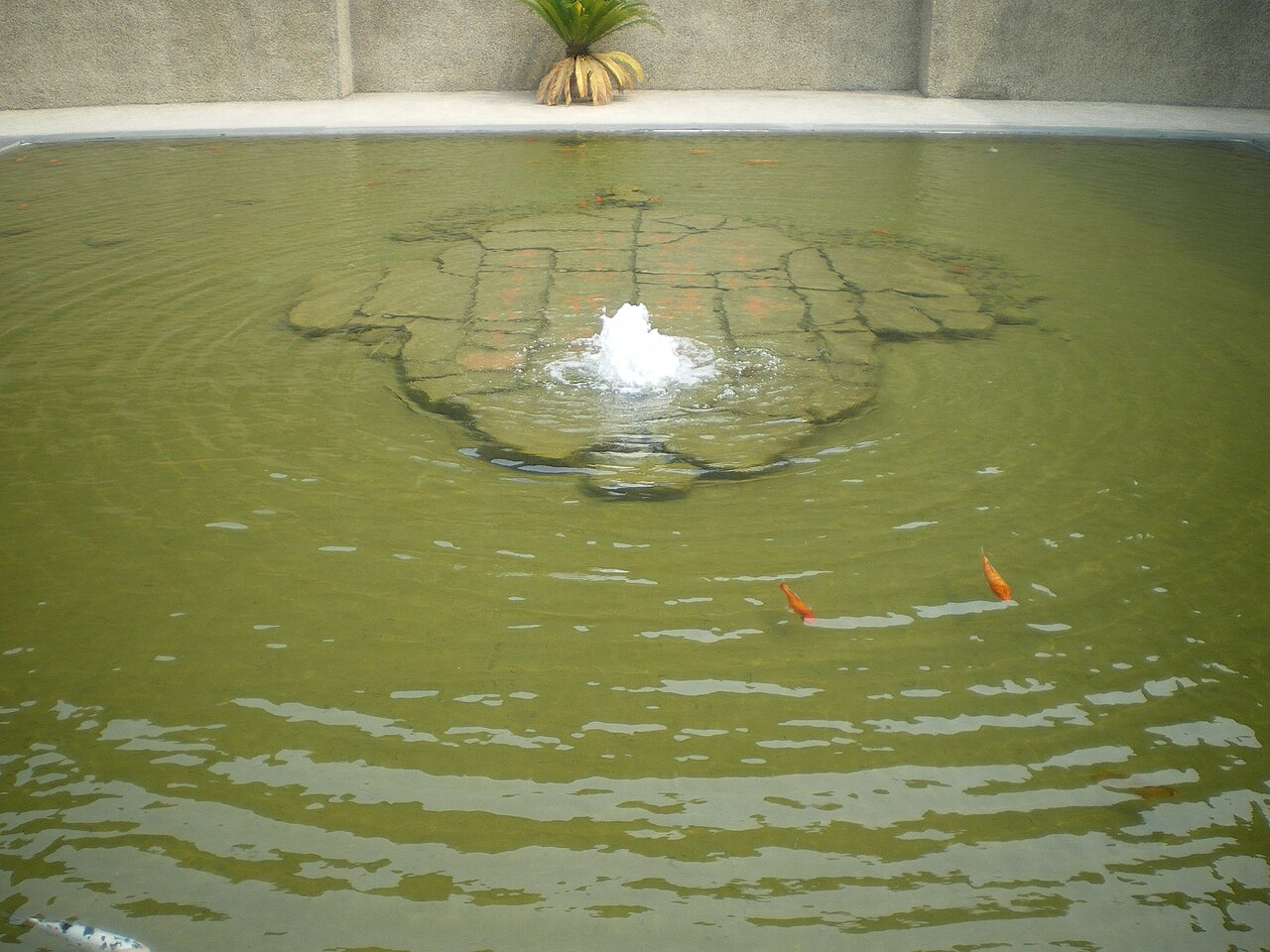 Anyang