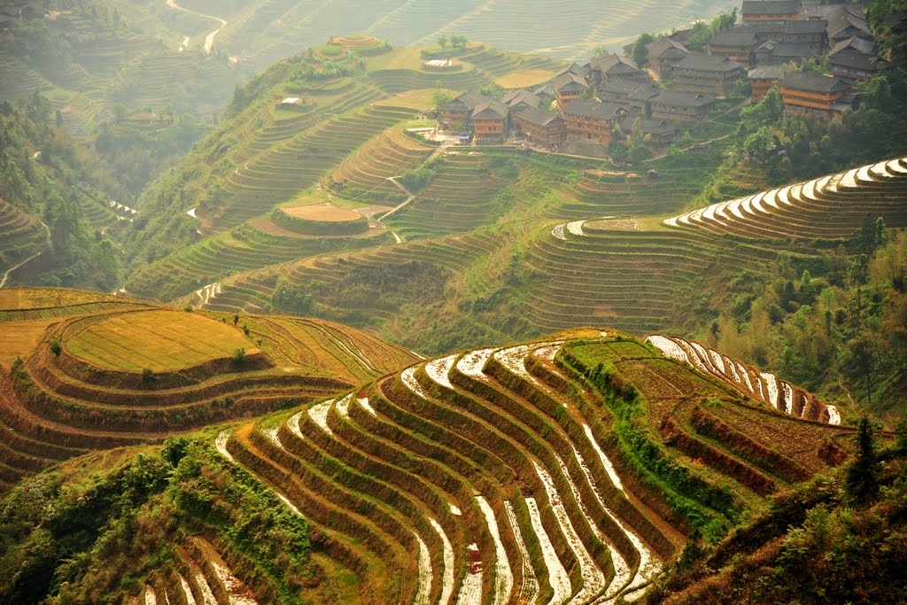 Longsheng