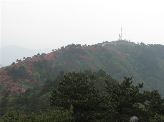 麻城