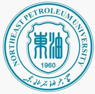 جامعة الشمال الشرقي للبترول