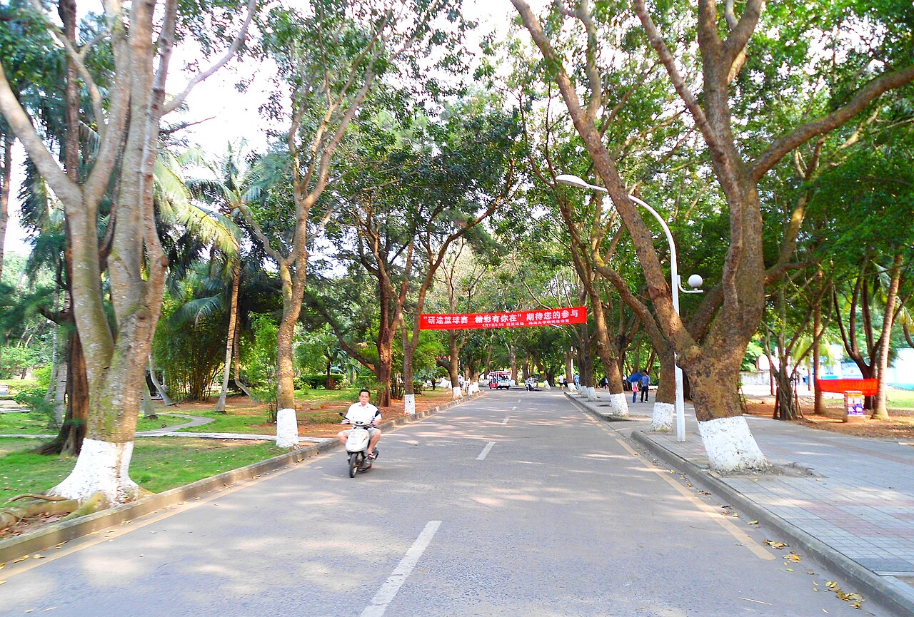 جامعة هاينان