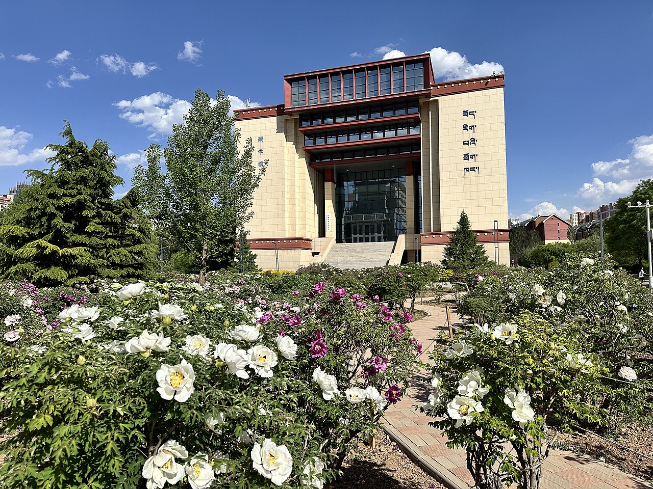 青海民族大学