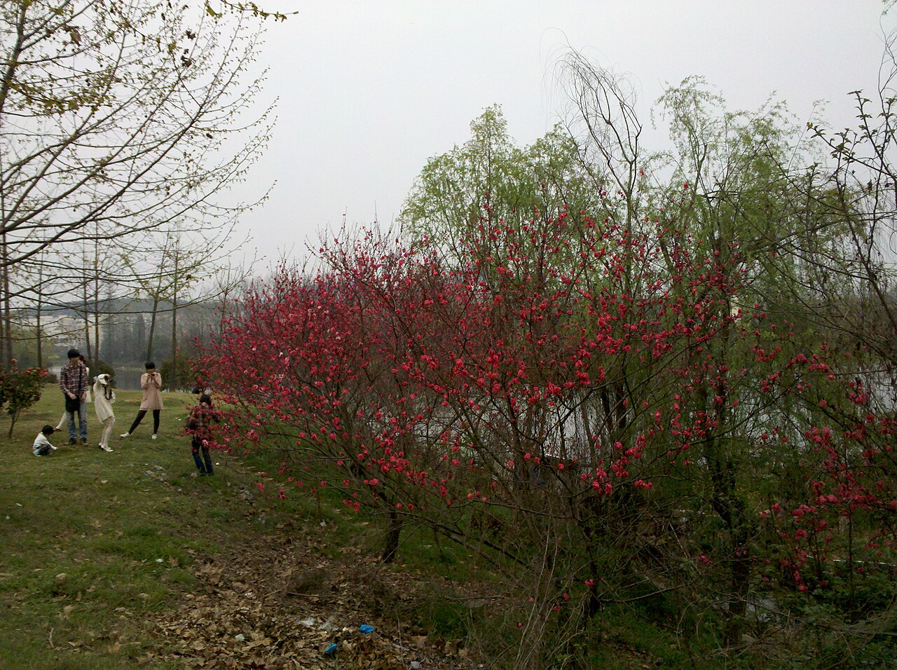 Hubei University of Science and Technology