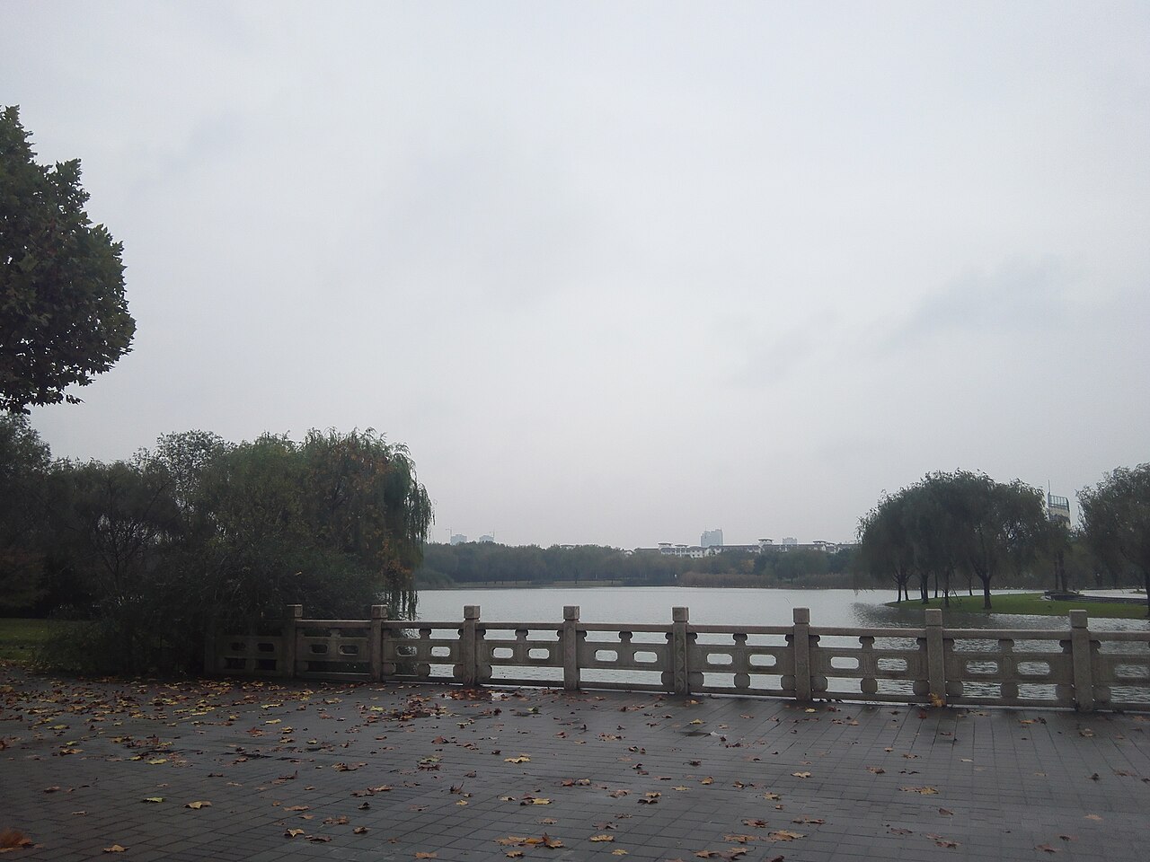 东华大学