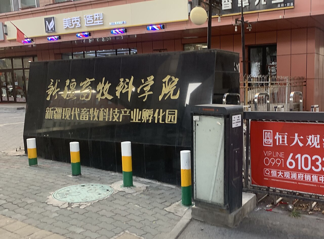 新疆理工学院