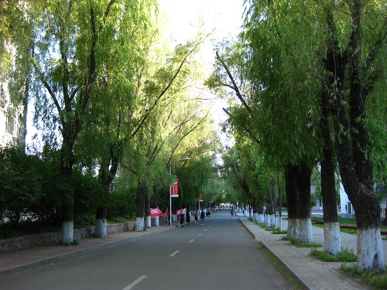Northeast Forestry University