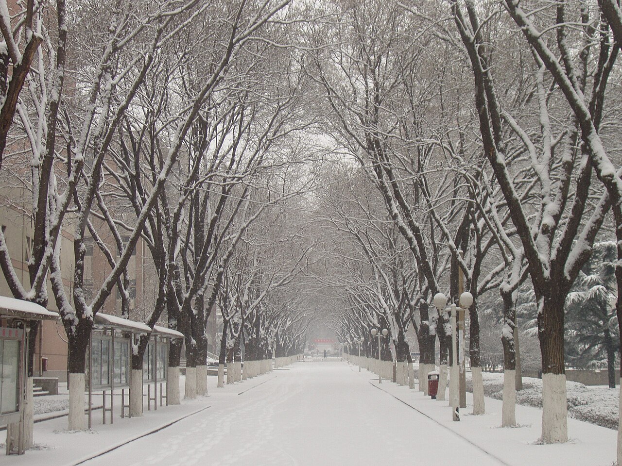 Shandong Agricultural University