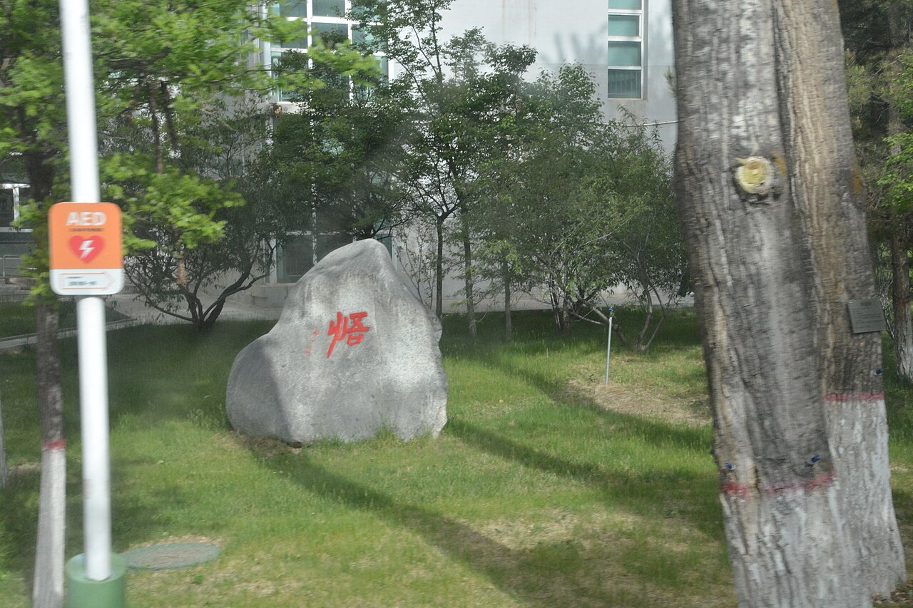 青海大学