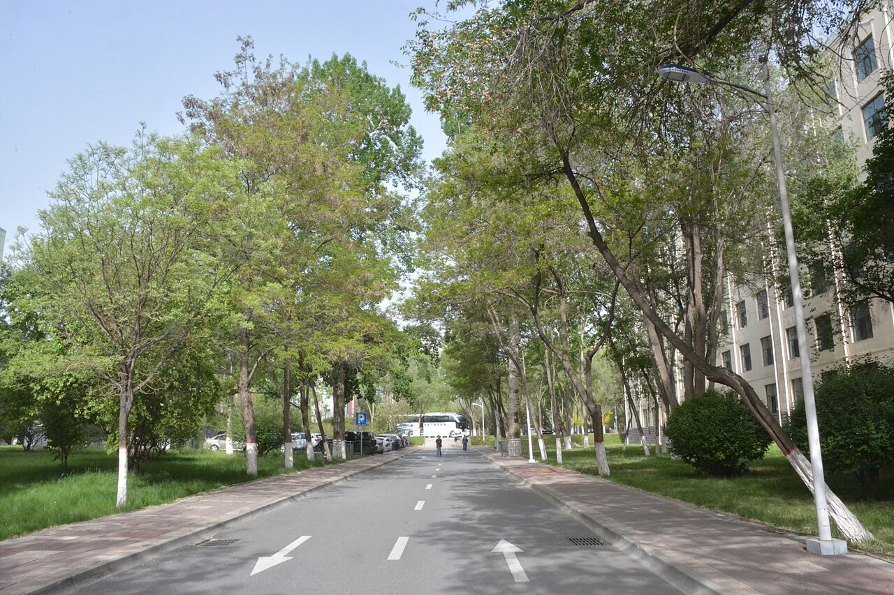青海大学