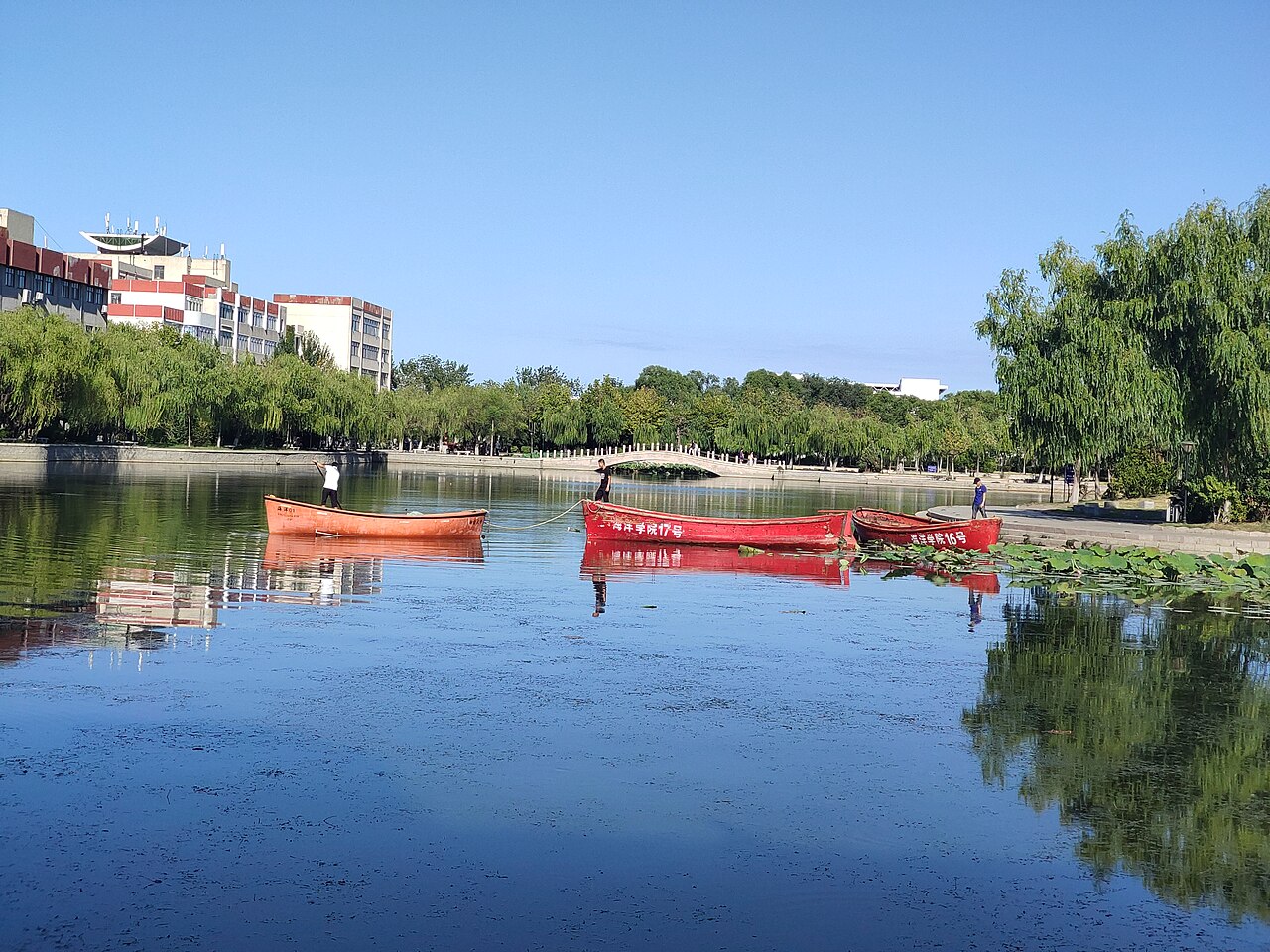 جامعة يانتاي