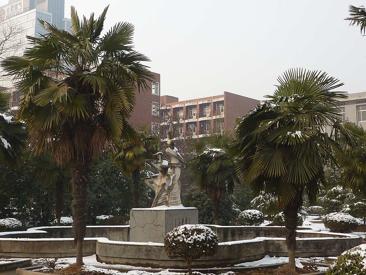 Anhui University