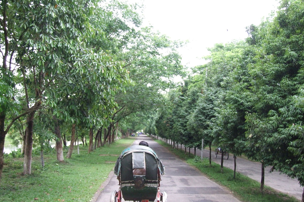 山东科技大学