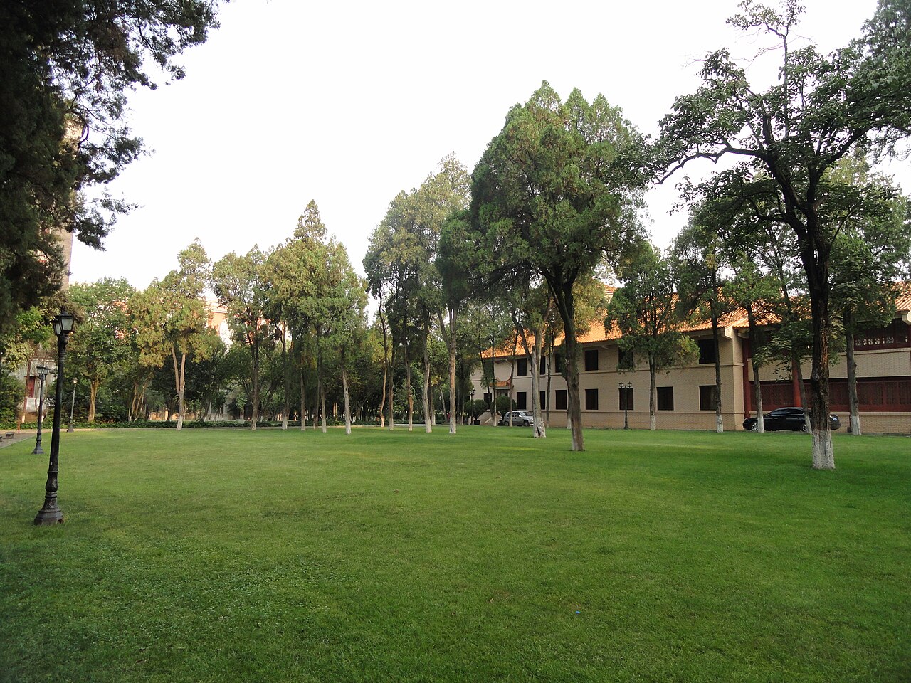 جامعة يوننان