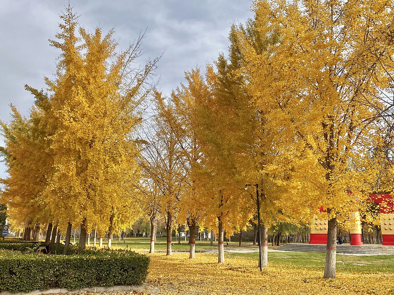 Hebei University of Economics and Business