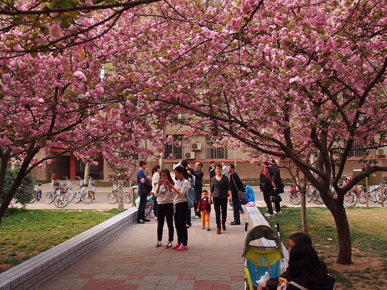 河南农业大学