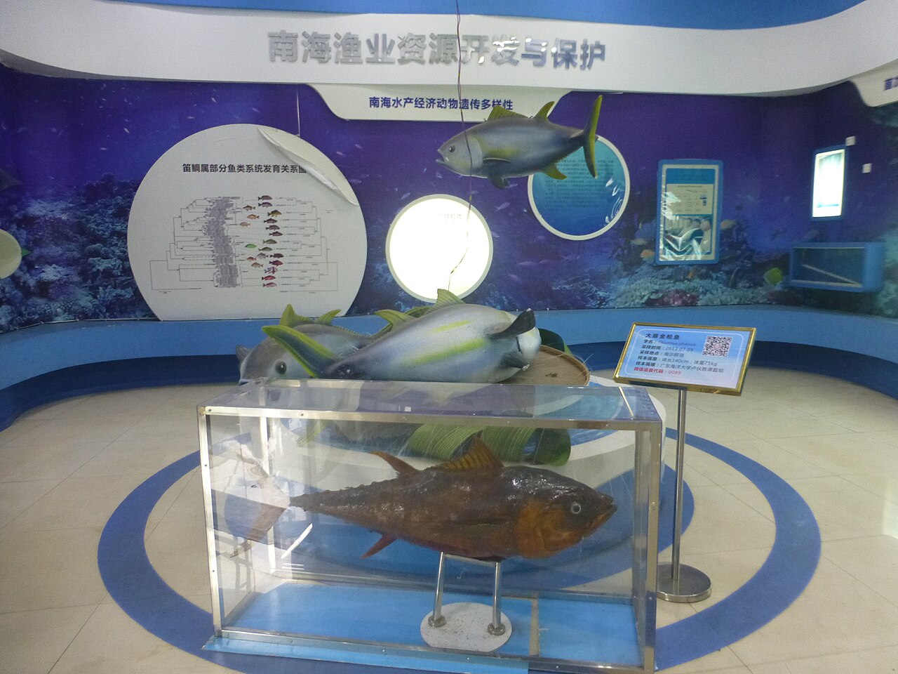 广东海洋大学
