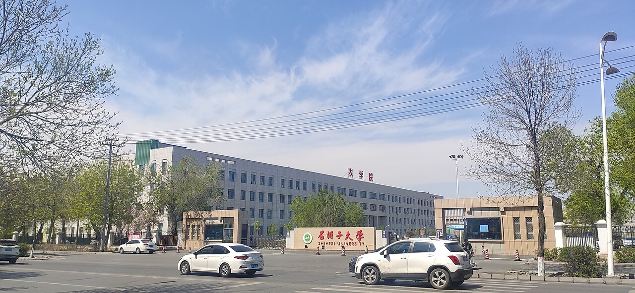 جامعة شيخِتزه