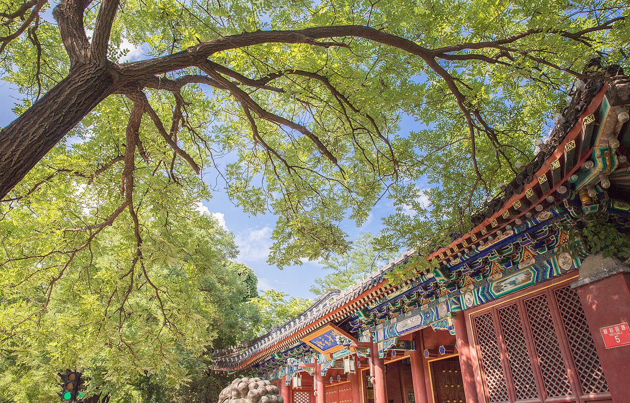 北京大学